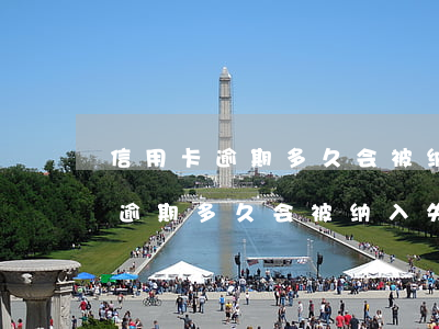 信用卡逾期多久会被纳入失信人员-信用卡逾期多久会被纳入失信人员名单