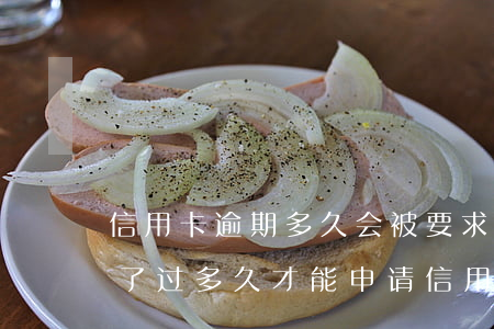 信用卡逾期多久会被要求还全额(逾期过还清了过多久才能申请信用卡)