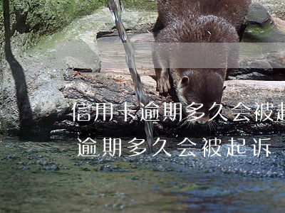 信用卡逾期多久会被起诉会判刑吗-“信用卡逾期多久会被起诉”
