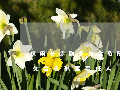 信用卡逾期多久会负刑事责任(信用卡逾期多久会负刑事责任人)