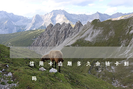 信用卡逾期多久会销卡(到期的信用卡要注销吗)