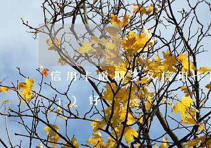 信用卡 逾期多久（信用卡逾期多少年會(huì)好）