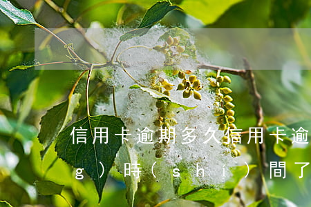 信用卡 逾期多久（信用卡逾期很長(zhǎng)時(shí)間了貼吧）