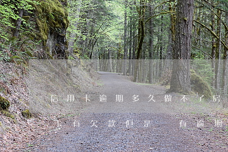 信用卡逾期多久做不了房貸(申請房貸時信用卡有欠款但是沒有逾期過)
