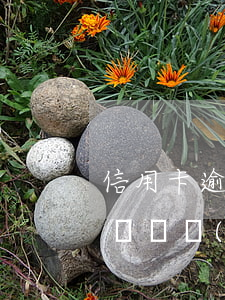 信用卡逾期多久儲蓄卡凍結(jié)(逾期會凍結(jié)儲蓄卡嗎)