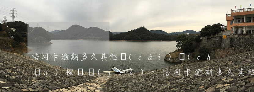 信用卡逾期多久其他財(cái)產(chǎn)被凍結(jié)-信用卡逾期多久其他財(cái)產(chǎn)被凍結(jié)了