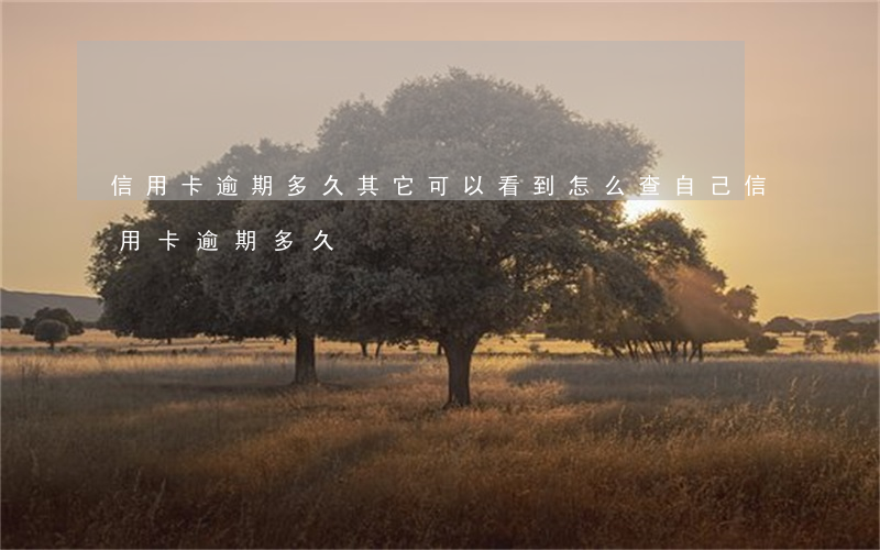 信用卡逾期多久其它可以看到(怎么查自己信用卡逾期多久)