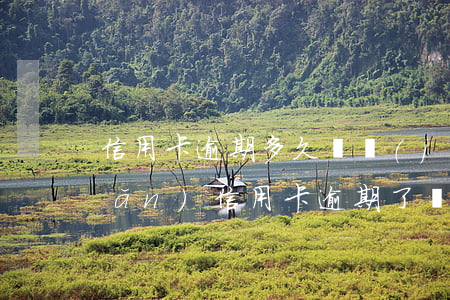 信用卡逾期多久凍結(jié)資產(chǎn)(信用卡逾期了會(huì)不會(huì)凍結(jié)所以財(cái)產(chǎn))