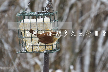 信用卡逾期多久出行會受阻(沒注意信用卡逾期了)