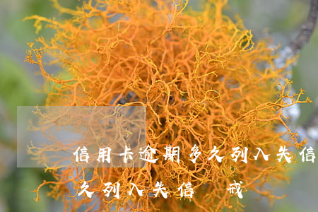 信用卡逾期多久列入失信懲戒（信用卡逾期多久列入失信懲戒）