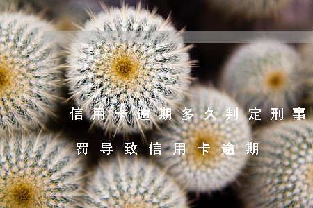 信用卡逾期多久判定刑事案件(因受到刑事处罚导致信用卡逾期)