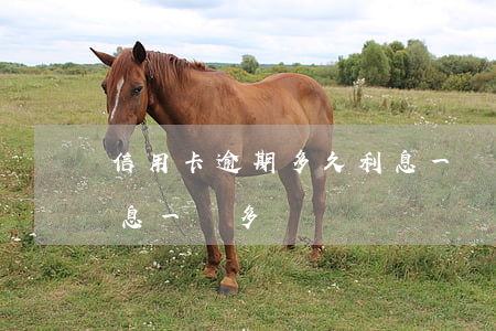 信用卡逾期多久利息一萬(信用卡逾期多久利息一萬多)