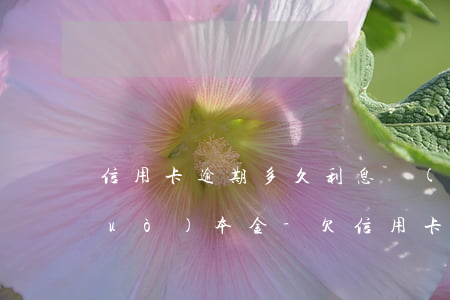 信用卡逾期多久利息會(huì)超過(guò)本金-欠信用卡逾期可以只還本金嗎