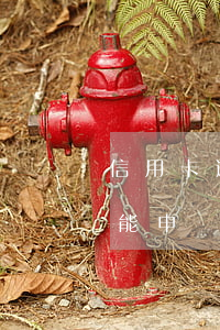 信用卡逾期多久到人民銀行(逾期處理后多久能申請(qǐng)信用卡)