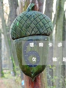 信用卡逾期多久到法院(欠信用卡的錢逾期多久會被起訴)