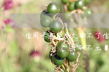 信用卡逾期多久刷不了(信用卡逾期多久還進(jìn)去刷不出來)