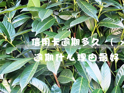 信用卡逾期多久協(xié)商合適(信用卡逾期什么理由最好協(xié)商)