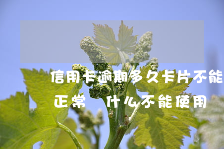 信用卡逾期多久卡片不能使用-逾期后卡片正常 為什么不能使用