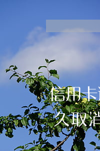 信用卡逾期多久取消用卡資格(信用卡逾期多久取消用卡資格申請)