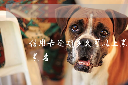 信用卡逾期多久可以上黑名單(逾期了就會上黑名單嗎)