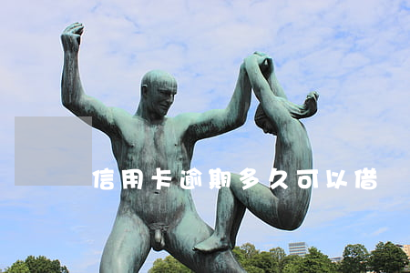 信用卡逾期多久可以借錢