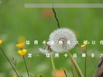 信用卡逾期多久可以停息掛賬規(guī)定-信用卡逾期多久可以停息掛賬規(guī)定最新