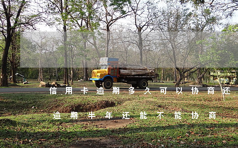 信用卡逾期多久可以协商还款百度(欠信用卡逾期半年还能不能协商)