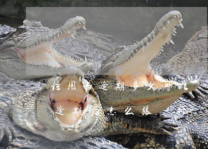 信用卡逾期多久可以協(xié)商免息-逾期后怎么跟銀行協(xié)商免息