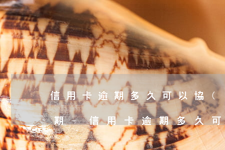 信用卡逾期多久可以協(xié)商還款分期-信用卡逾期多久可以協(xié)商還款分期的