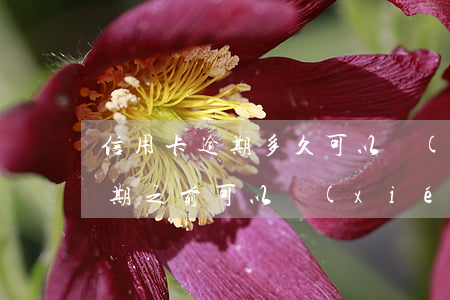 信用卡逾期多久可以協(xié)商還款(逾期之前可以協(xié)商還款嗎)