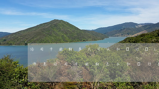 信用卡逾期多久可以和銀行協(xié)商停息(信用卡逾期,怎么和銀行協(xié)商停息)
