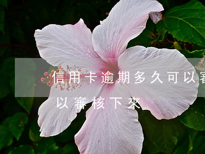 信用卡逾期多久可以審核(信用卡逾期多久可以審核下來)