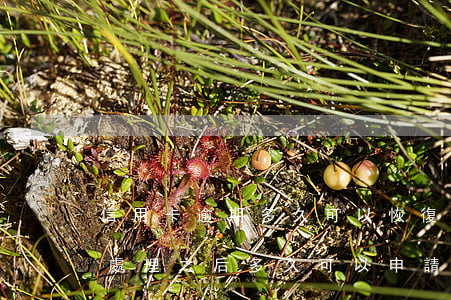 信用卡逾期多久可以恢復(fù)貸款(逾期處理之后多久可以申請信用卡?)