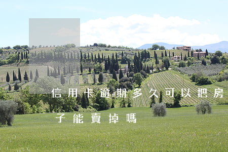 信用卡逾期多久可以把房子賣掉(欠信用卡房子能賣掉嗎)