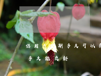 信用卡逾期多久可以更新征信(逾期還了征信多久能更新)