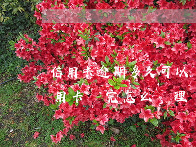 信用卡逾期多久可以歸還本金(逾期幾年的信用卡還完怎么處理)