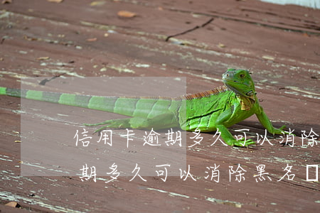 信用卡逾期多久可以消除黑名單-信用卡逾期多久可以消除黑名單記錄