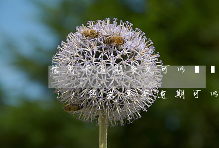 信用卡逾期多久可以營業(yè)執(zhí)照(去年有逾期可以辦到信用卡嗎)