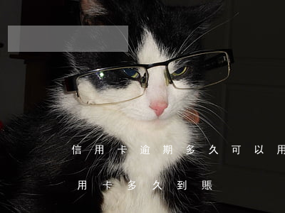 信用卡逾期多久可以用云閃付(用云閃付還信用卡多久到賬)