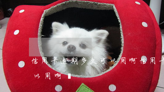 信用卡逾期多久可以用啊 信用卡逾期多久可以用啊還