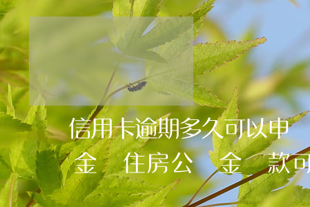 信用卡逾期多久可以申請(qǐng)公積金貸(住房公積金貸款可以逾期多久)