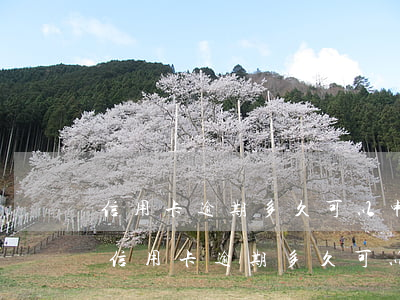 信用卡逾期多久可以申請(qǐng)立案(信用卡逾期多久可以申請(qǐng)立案成功)
