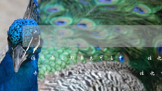 信用卡逾期多久可以申請個性化分期-信用卡逾期多久可以申請個性化分期還款