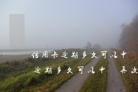 信用卡逾期多久可以申請再次申請-信用卡逾期多久可以申請再次申請貸款