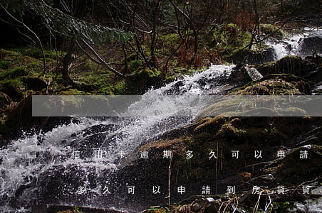 信用卡逾期多久可以申請到房貸(信用卡逾期多久可以申請到房貸貸款)