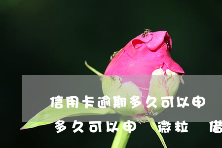 信用卡逾期多久可以申請微粒貸(信用卡逾期多久可以申請微粒貸借款)