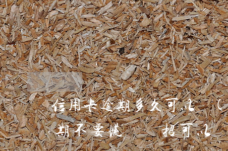 信用卡逾期多久可以補(bǔ)救(信用卡逾期?不要慌,這幾招可以補(bǔ)救!)