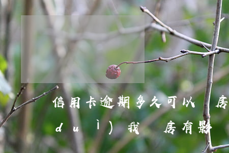 信用卡逾期多久可以賣房(信用卡逾期中對(duì)我賣房有影響嗎)