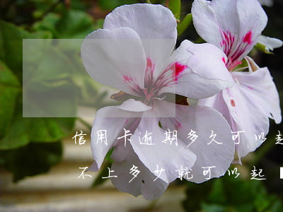 信用卡逾期多久可以起訴我(欠信用卡逾期還不上多少就可以起訴了)