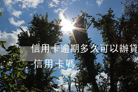 信用卡逾期多久可以辦貸款(貸款逾期了能辦信用卡嗎)